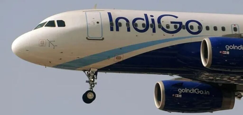 IndiGo is a popular airline across IndiaCredit: AFP
