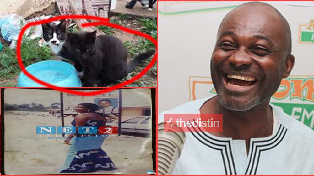 How Obinim K!lled 3 Cats For Rituals: Kennedy Agyapong Exposes In Video | Watch