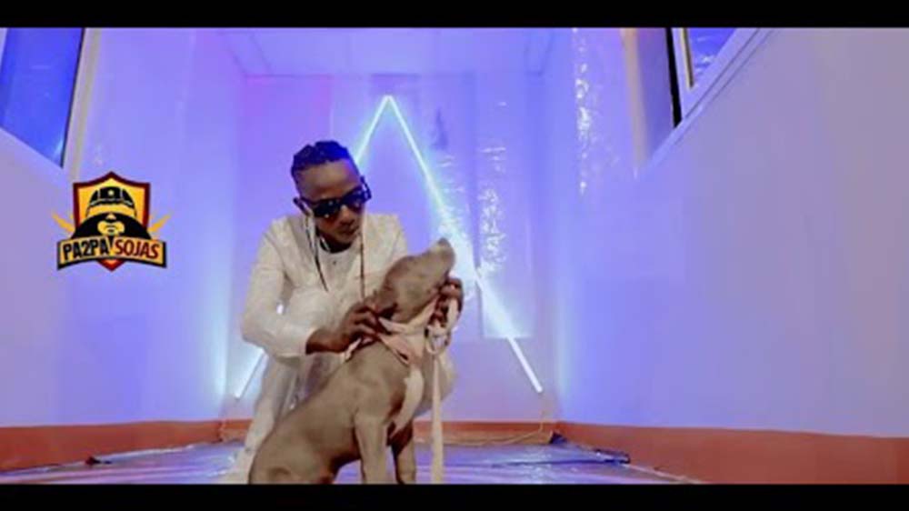Music Video: Patapaa "Madi" Ft Queen Peezy | Watch And Download