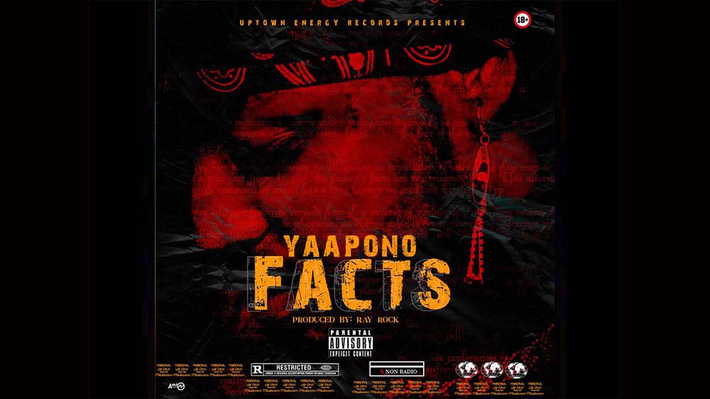 Yaa Pono "Facts" (Sarkodie, Shatta Wale, Samini Diss) | Listen And Download Mp3
