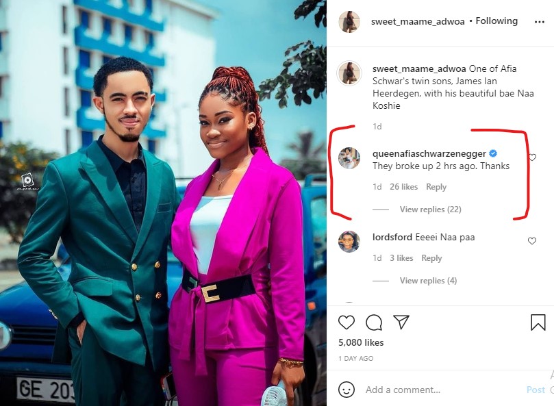 Afia Schwarzenegger's twin son, James Ian Geiling Heerdegen, and his bae Naa Koshie have reportedly ended their relationship. 