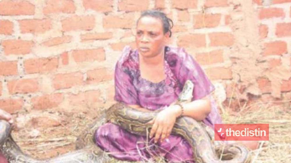 A woman was caught breastfeeding a gigantic snake and then ordered it to k!ll someone (Photo)