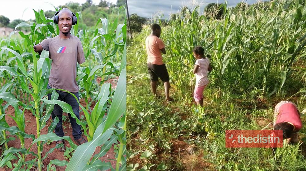 Meet Sibusiso Mogale: Farmer Without Arms, Raised By Single Mom Inspires Mzansi With Success (Photos)