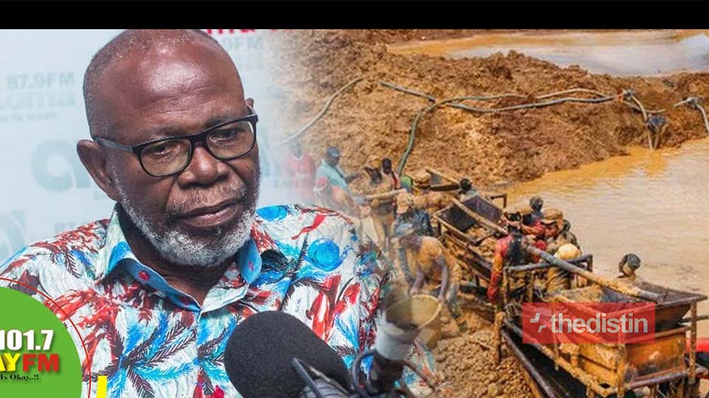 Former South Africa High Commissioner Advises Nana Addo To 'Shoot To Kill’ Illegal Miners To End Galamsey (Video)