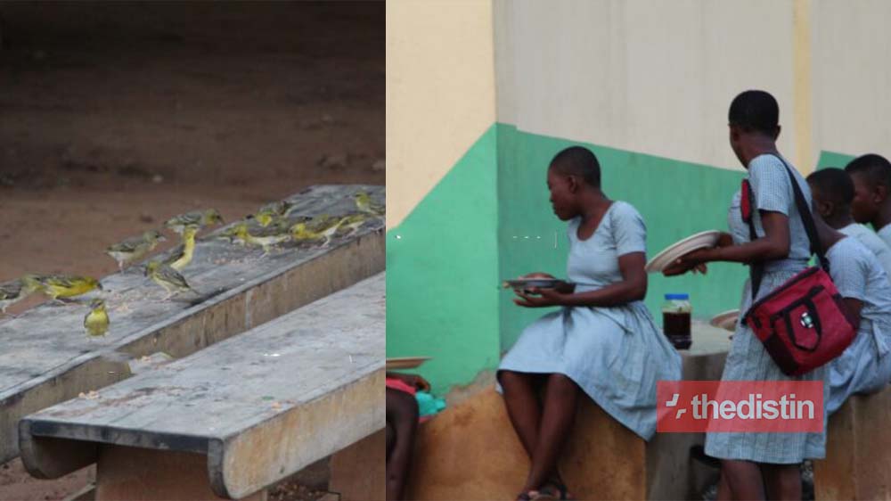 Student Of Oti Boateng SHS Battle With Birds For Space As They Dine Under Trees (Photos)