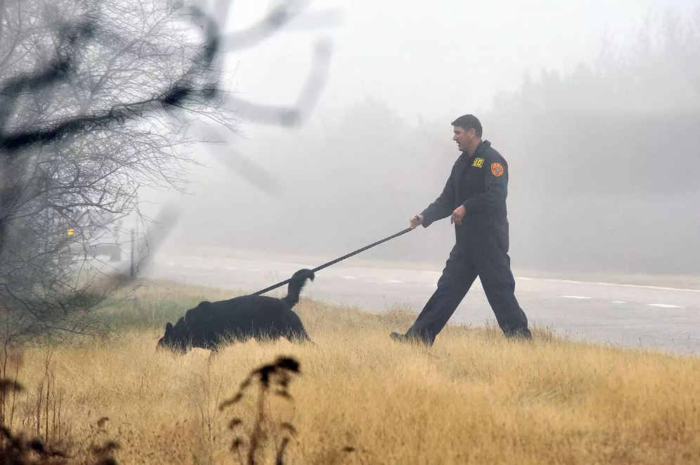 In this Dec. 5, 2011 file photo, an officer from the Suffolk County Police Department's K-9 Unit uses a dog to search through the brush along the median of Ocean Parkway, near Oak Beach in Long Island, N.Y